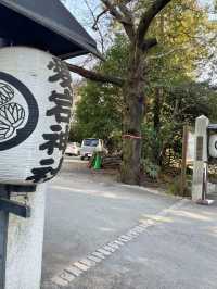 【東京】出世の階段が有名⛩️愛宕神社
