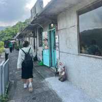 Houtong Cat Village หมู่บ้านแมวสุดน่ารัก