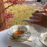 【佐賀カフェ】こちらのスコーンが秀逸