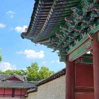 조선왕실의 별궁 창경궁 + 고궁&숲&연못 산책🖼