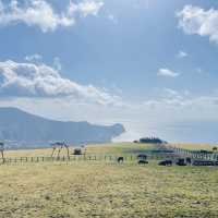【八丈島】無料ではいれる牧場🐮