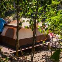 OASIS Forest Garden โฮมสเตย์ 