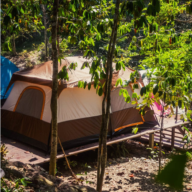 OASIS Forest Garden โฮมสเตย์ 