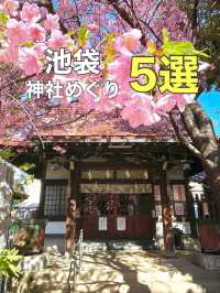 【池袋/東京都】神社めぐり5選