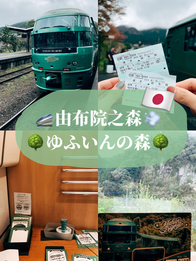 🇯🇵日本大分由布院之森🚄別具特色的日本車廂🚇
