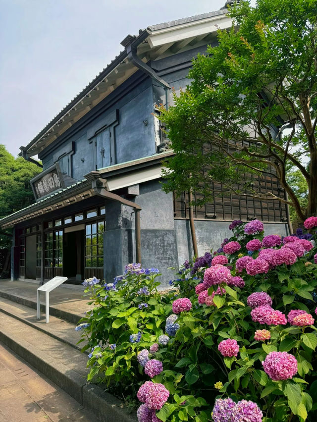 ここほんとに東京？！一万株のアジサイが咲き誇る府中郷土の森博物館