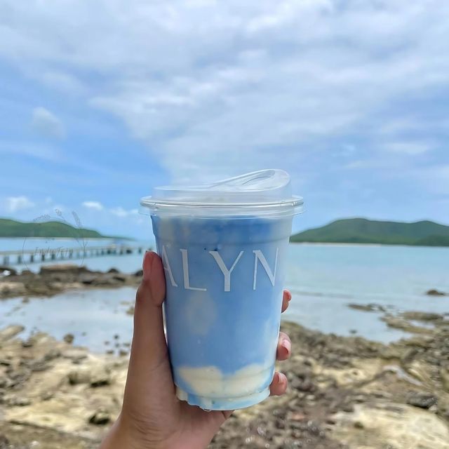 🥢Palyn Cafe & Eatery Samaesarn สไตล์โมเดิร์น