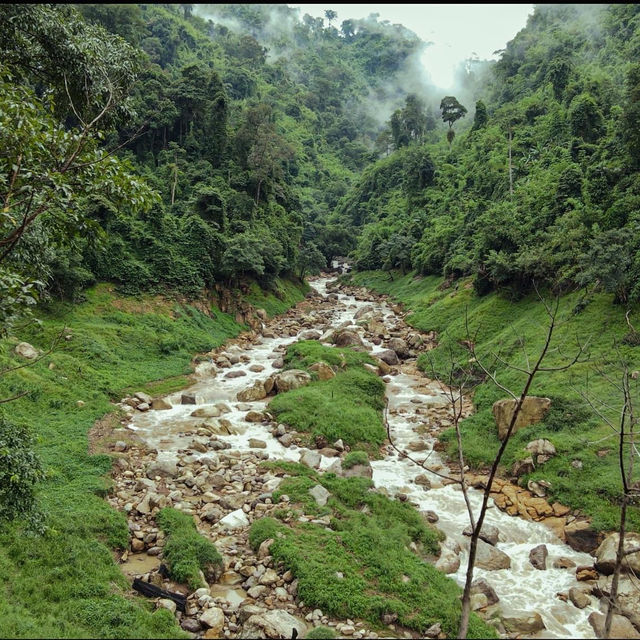Khao Chong Lom is Calling…🏞🌳🌿