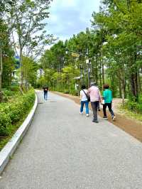 서울 근교 데이트 파주 마장호수 출렁다리 추천