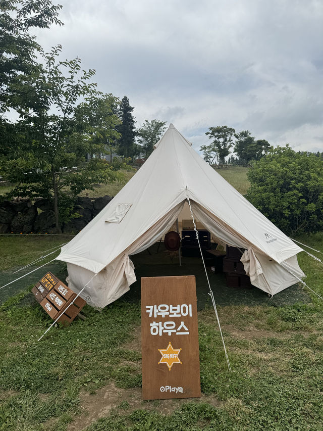 귀여운 젖소들을 아주 가까이에서 볼 수 있는 이색 목장 ✨
