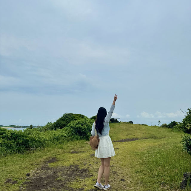  제주도 동쪽 해안에 위치한 아름다운 수국명소