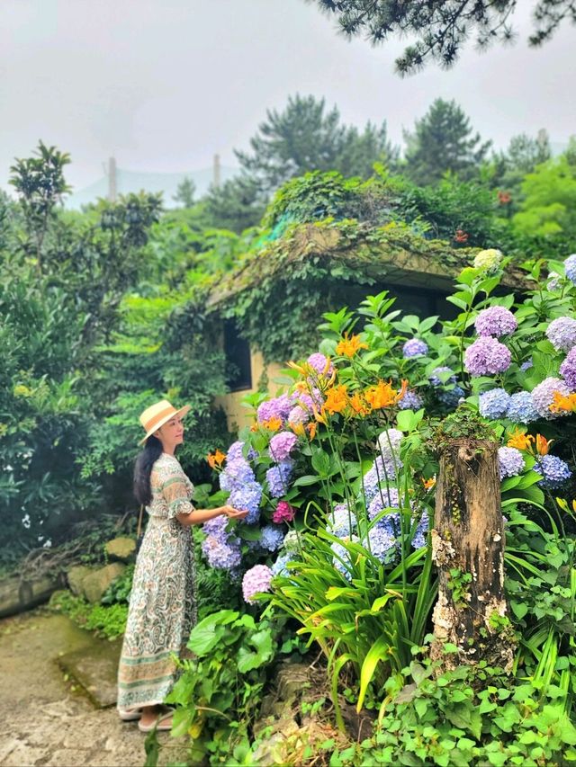 수국이 예쁘게 핀 영도사찰 송남사💜