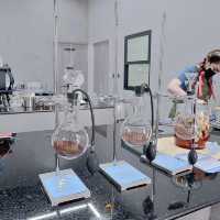 S-Curve Specialty Coffee