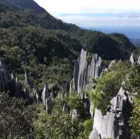 Exploring the Wonders of Gua Mulu