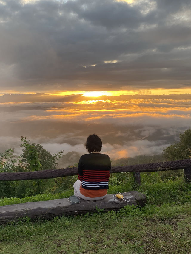ดอยเสมอดาว | น่าน 🏕️🌳⛰️💫