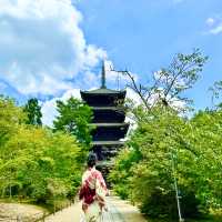 〜京都府〜世界遺産仁和寺！勝負のパワスポ！