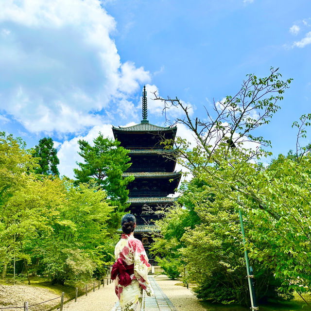 〜京都府〜世界遺産仁和寺！勝負のパワスポ！