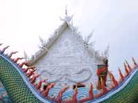 สักการะขอพรลอดพญาเต่า วัดหนองจับเต่า