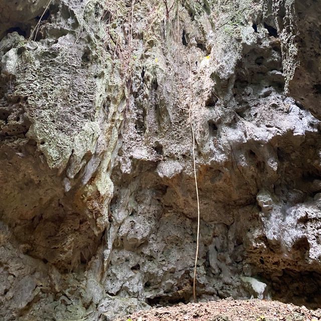 【伊良部島】さとうきび畑の中にある隠れた穴場スポット