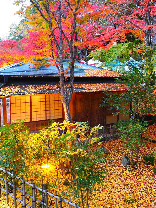 感動の紅葉が見れる🥺🍁香嵐渓🍁🥺