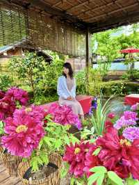 〜東京都〜東京穴場お花見スポット🌸