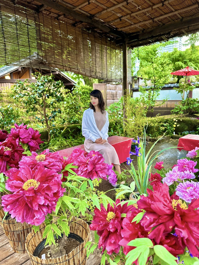 〜東京都〜東京穴場お花見スポット🌸