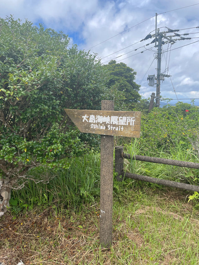 奄美大島　奄美十景に選ばれる展望台🌊