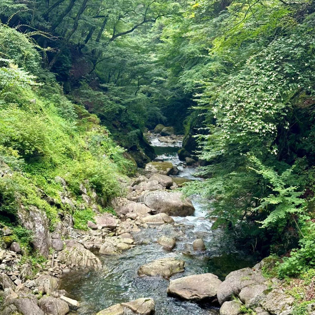 鮎返之滝 - 瀑布奇觀
