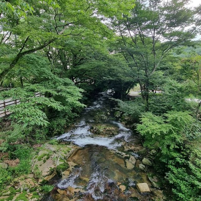 세계최대 우리나라에 하나뿐인 삼층법당보고 계곡에 발도 담그고