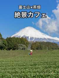📍富士山の茶の間 -大淵笹場-