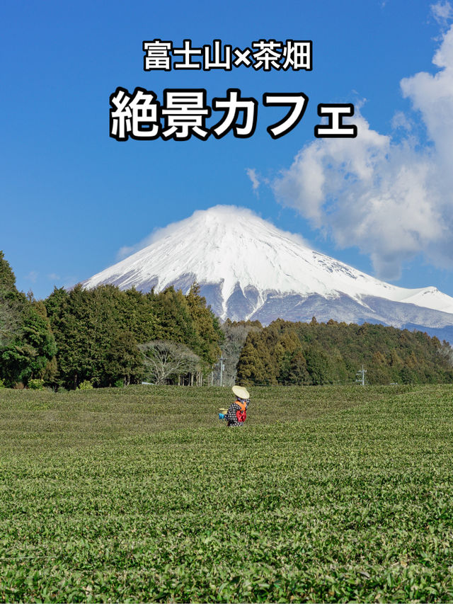 📍富士山の茶の間 -大淵笹場-