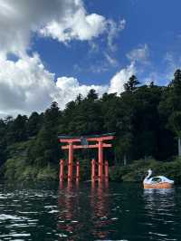 湖畔古社😍