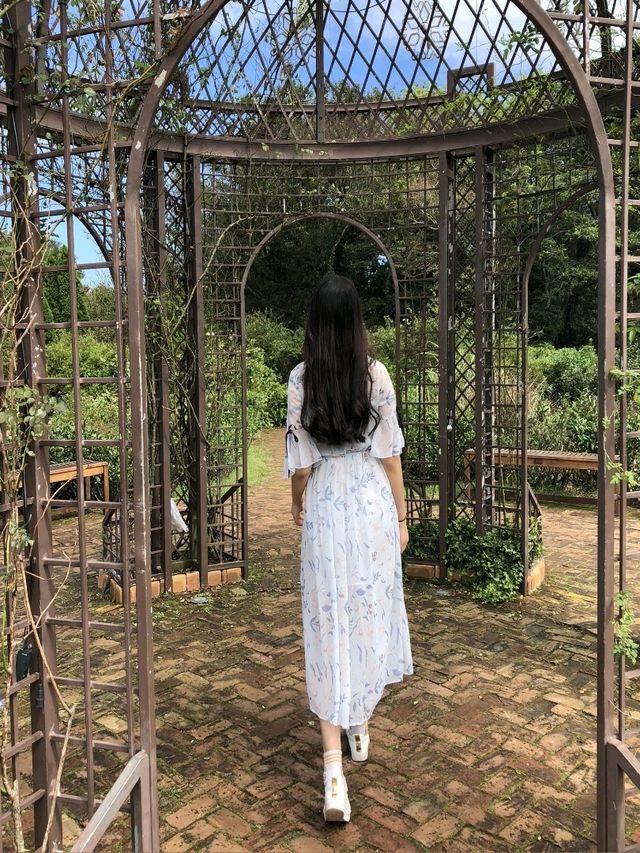 제주 여행 필수코스~! 에코랜드 테마파크🏞