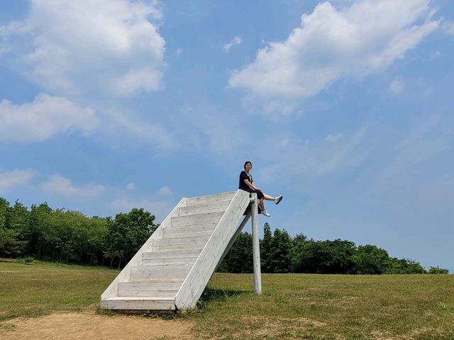 캠핑클럽🏕 촬영지로 유명한, 자연을 즐기며 쉬어가는 곳 