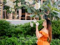 Welcome World Beachfront Resort 
