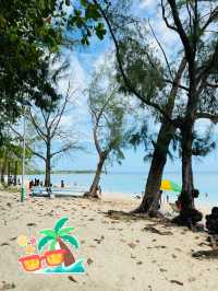 🏝️🇲🇺 Albion Public Beach