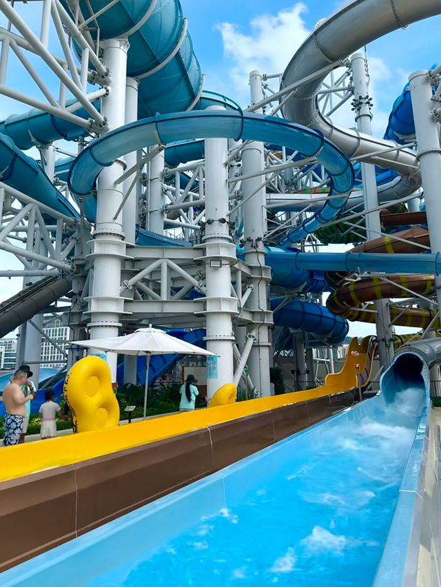 《水上樂園》廣州後花園水上樂園：滑道，電音派對，夏日遊玩首選！