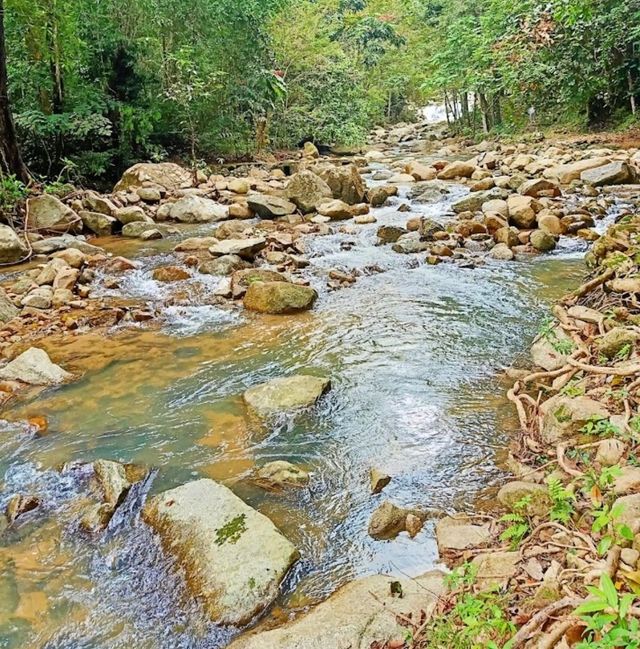 Than to Waterfall Forest Park