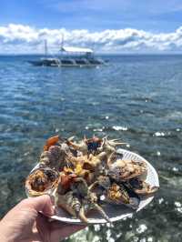 【セブ🇵🇭】セブ島で透明度の高い海が広がるビーチを満喫しよう！