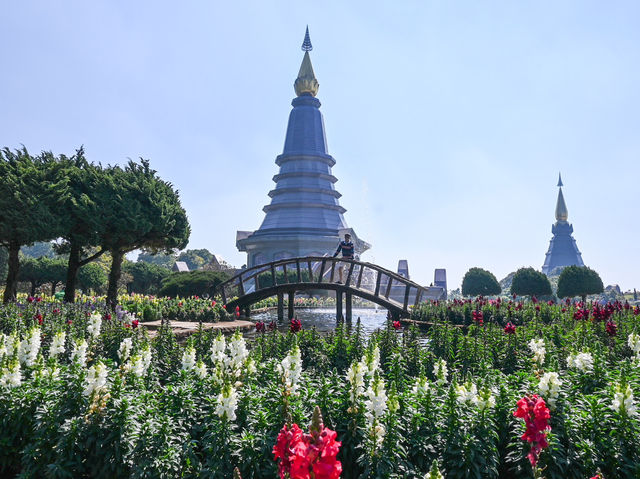 Floral Splendor at Doi Inthanon Pagoda