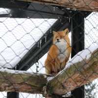 旭川景點｜日本最北、高人氣寒帶動物園—旭川動物園
