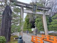 【城南宮:京都市伏見区】2月に咲く美しい梅に感動する✨