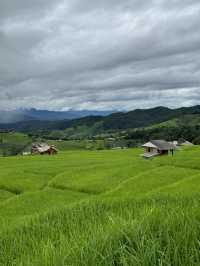ที่พักป่าบงเปียง | จ.เชียงใหม่ 🏡⛰️🌾🌧️