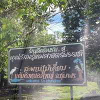 สะพานไม้เคี่ยม หนองใหญ่ ชุมพร