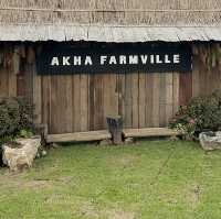 Akha FarmVille คาเฟ่และฟาร์มแกะดอยช้าง