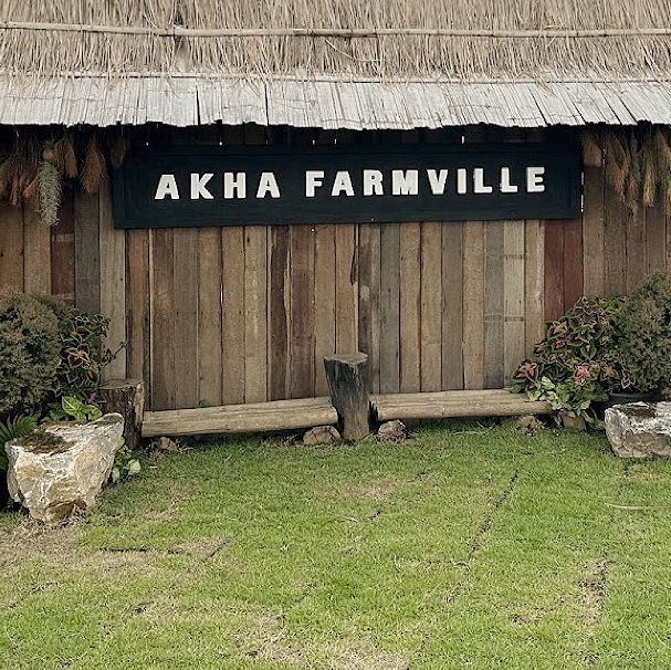 Akha FarmVille คาเฟ่และฟาร์มแกะดอยช้าง