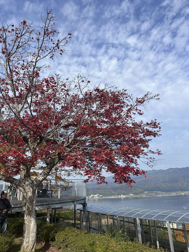 🇯🇵 京都近郊 日本三景之一的天橋立