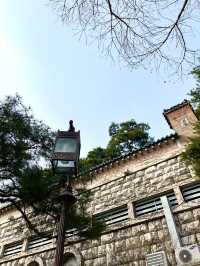 서울 📸사진찍기 좋은곳 - 청와대🔵🏠👑