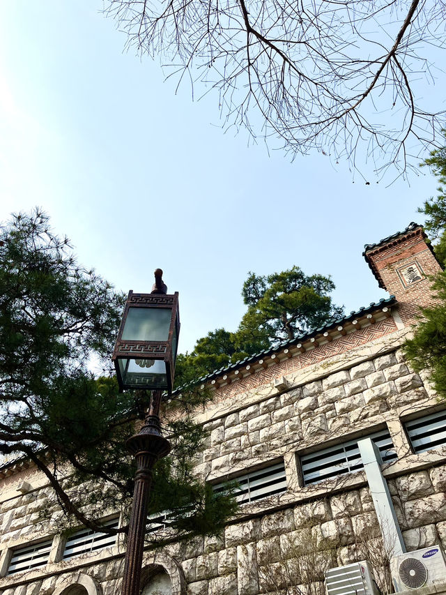 서울 📸사진찍기 좋은곳 - 청와대🔵🏠👑