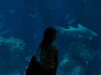 マリンワールド海の中道🐬💙🦦🐟
